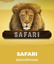 Safari