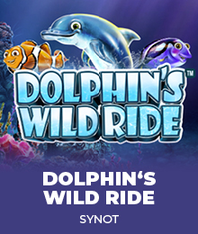 Dolphin's Wild Ride