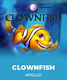 Clown Fish