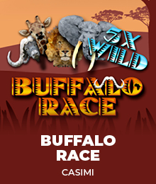 Buffalo Race 